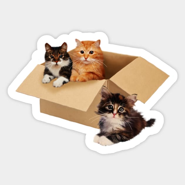 Cute Cats inside Box, Love cats Kittens Sticker by logiamerch